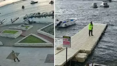 Pendik'te Balıkçı, Kediyi Tekmeleyip Denize Attı: Kameralara Yansıdı
