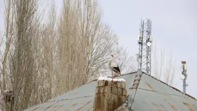 Yüksekova'da 23 Yıldır Göç Etmeyen Leyleklerin Sayısı 7'ye Yükseldi