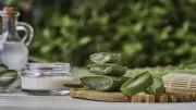 Evde Aloe Vera Yetiştirme Rehberi: Doğal Cilt Bakımı İçin 5 Adım