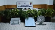 Çorum'da 4 Kişi Uyuşturucu Bitki Yetiştirirken Yakalandı