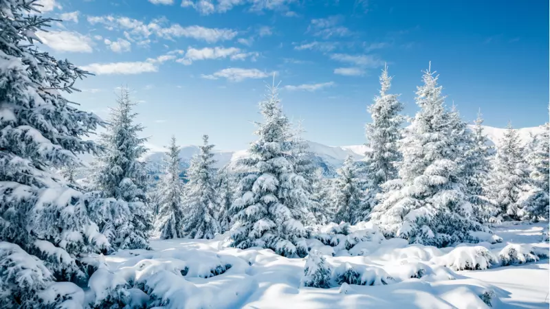 2026 Yılbaşı Hava Durumu: İstanbul, Ankara ve İzmir'de Kar ve Soğuk Bekleniyor