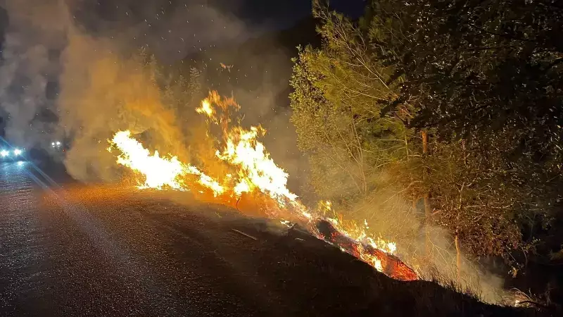 Adana Kozan'da Orman Yangını: Hızlı Müdahaleyle Felaket Önlendi