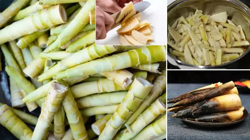 Bambu Filizleri: Asya'nın Süper Besini Sağlığa Faydaları ve Doğru Tüketim Yöntemleri