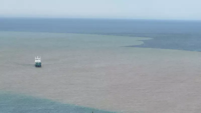 Bartın'da Irmak Taşkını: Çamurlu Su Denizi Kahverengiye Boyadı