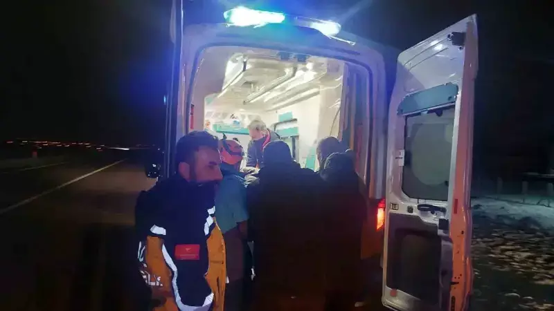 Bingöl'de Domuz Sürüsüne Çarpma: 3 Kişi Yaralandı