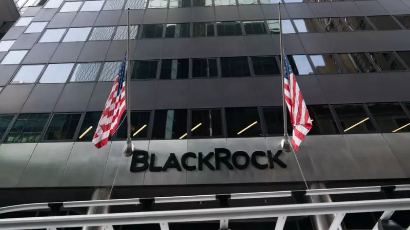 BlackRock Türk Hisselerine Büyük Yatırım Yapıyor: Portföyün %10'u Türkiye'de