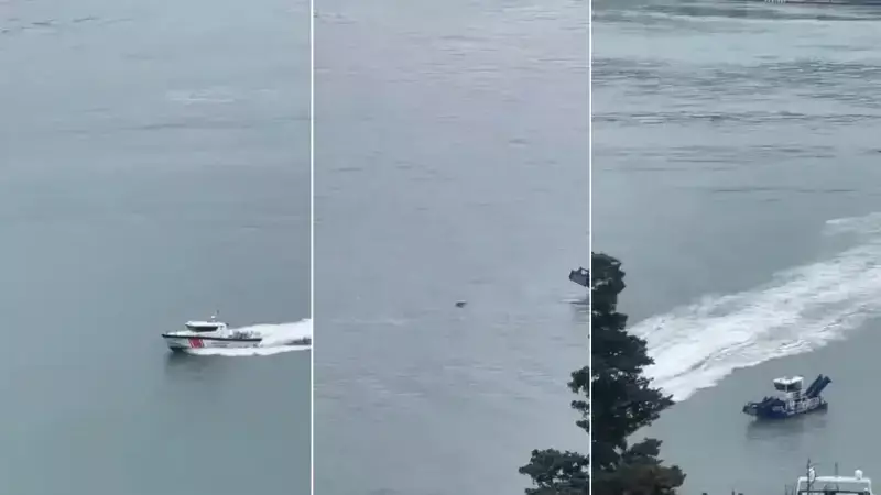 Boğaziçi Yarışı'nda Kaybolan Rus Yüzücünün Cesedi Bulundu