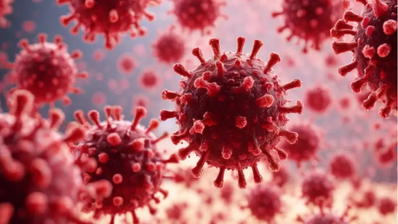 Bocavirüs Alarmı: 2 Yaş Altı Çocuklarda Ağır Zatürre Riski