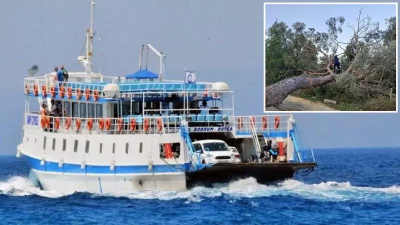 Bodrum ve Kaş'ta Fırtına: Yollar Kapandı, Feribot Seferleri İptal