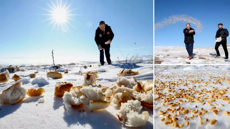 Darende'de Kar Altında Kalan Yaban Hayvanlarına Buğday ve Ekmek Yardımı