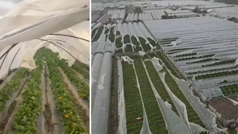 Demre'de Hortum Felaketi: Seralar ve Ürünler Ağır Hasar Aldı