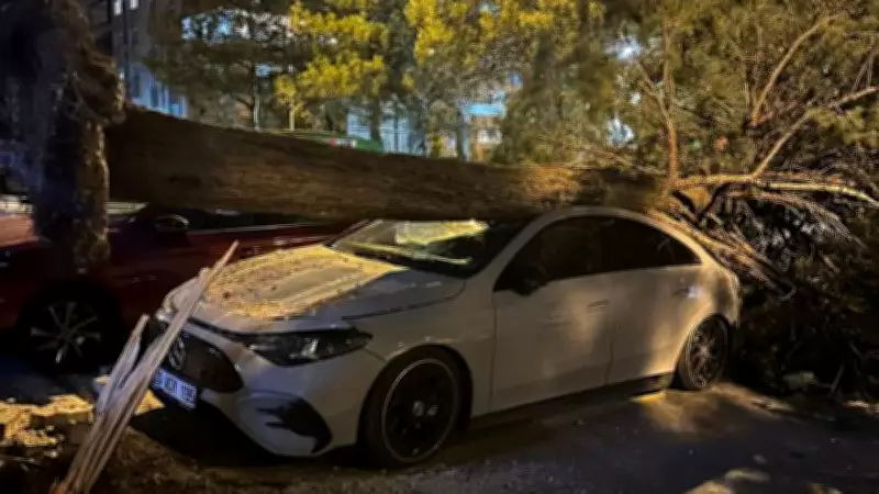 Denizli'de Şiddetli Fırtına: Ağaçlar Devrildi, Çatılar Uçtu, Lüks Araç Hasar Gördü