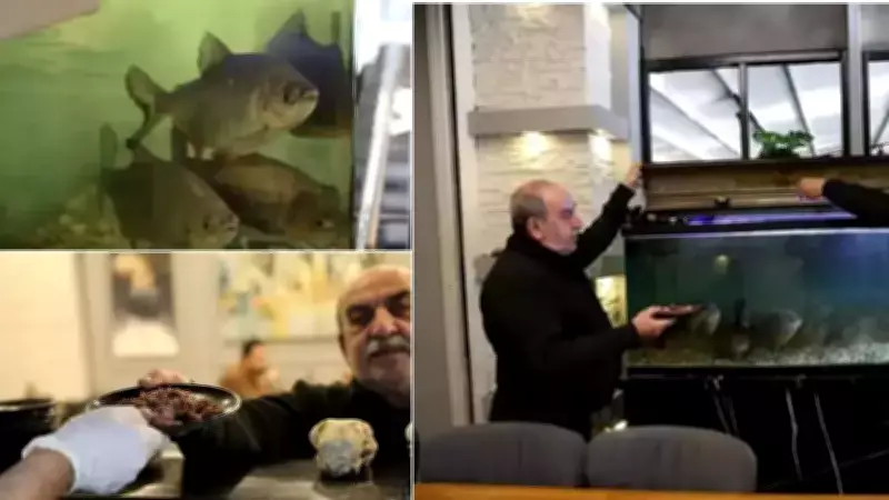 Diyarbakır'ın Tarihi Kelle Paça Salonunda Piranaya Özel Menü