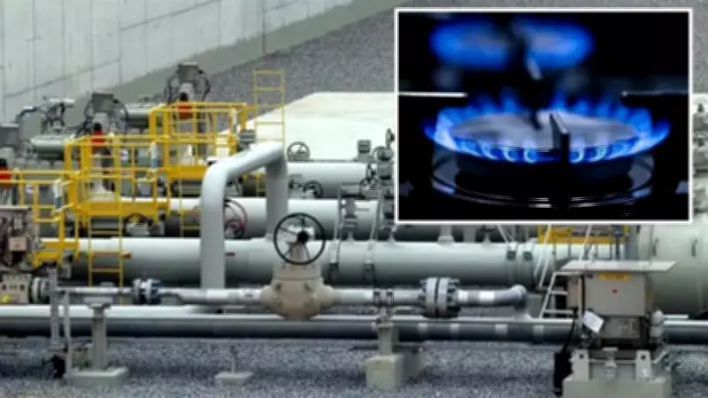 EPDK Doğal Gaz Tüketim Tahmini ve BOTAŞ Yatırım Revizyonu Açıklandı