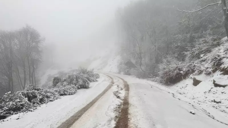Erdek'te Kar Yağışı: Kapıdağ Beyaza Büründü, Sürücüler Dikkat!
