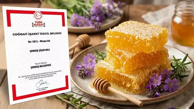 Çerkeş Çiçek Balı Coğrafi İşaret Aldı: Çankırı'nın Tescilli Ürün Sayısı 30'a Ulaştı