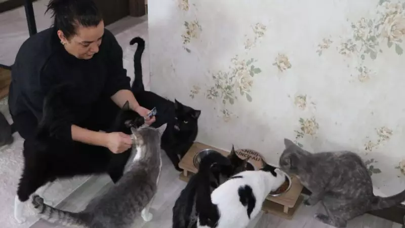 Erzurum'da Derya Çizmeli, Kedi Korkusunu Yenerek Evini Sokak Kedilerine Yuva Yaptı