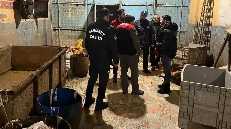 Gaziantep'te Merdiven Altı İşletmede 1.300 Kg Sakatata El Konuldu