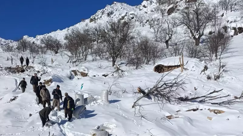 Hakkari'de Çığ Felaketi: Taşbaşı Köyü'nde Onlarca Hayvan Telef Oldu
