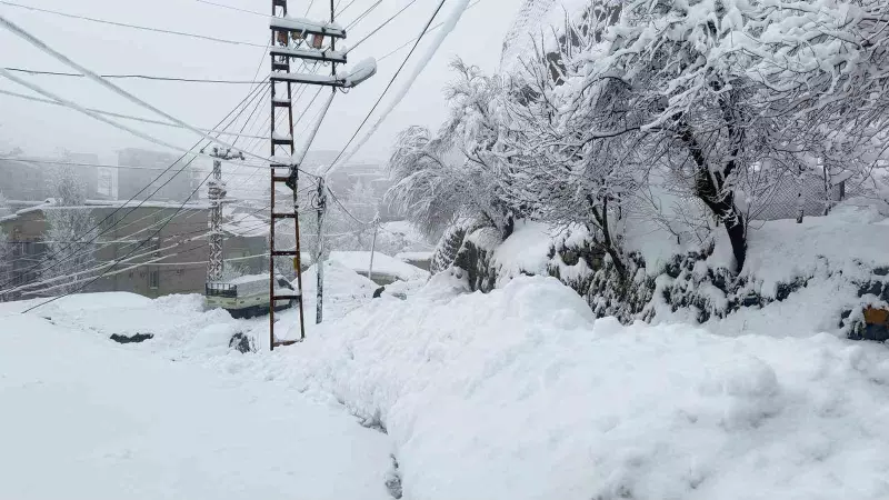 Hakkari'de Kar Mücadelesi: 310 Köy Yolu Yeniden Açıldı