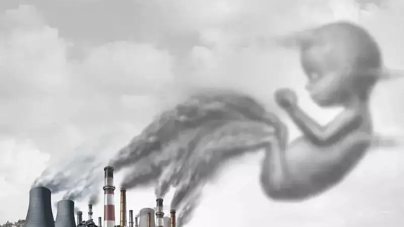 Hava Kirliliği Yumurta ve Sperm Kalitesini Düşürüyor