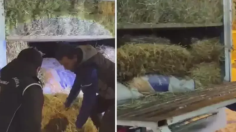 Kars'ta Saman Yüklü Kamyonette 3 Kaçak Göçmen Yakalandı