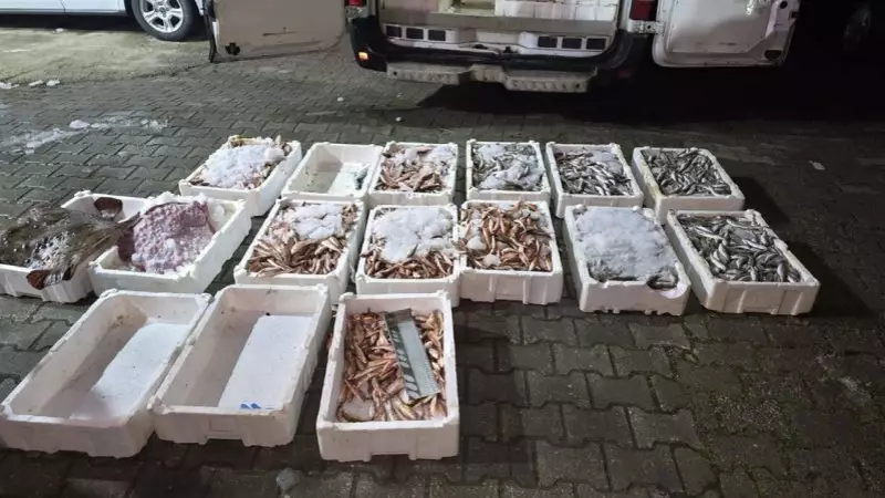 Kastamonu'da Yasa Dışı Avlanan 1,5 Ton Balığa El Konuldu