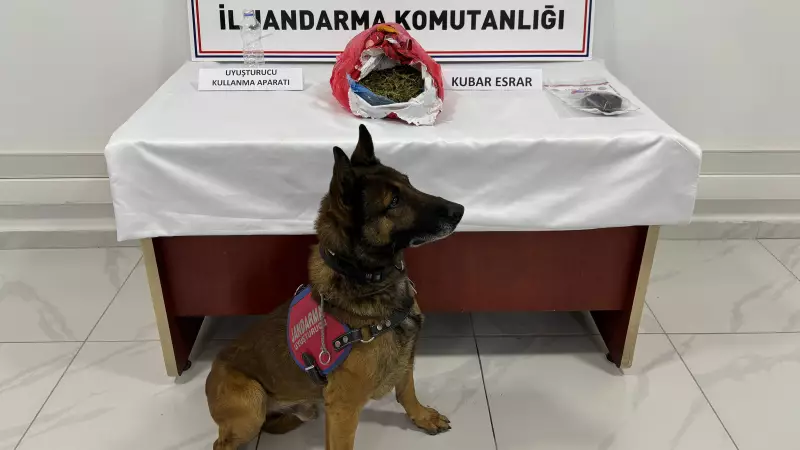 Kayseri'de Uyuşturucu Operasyonu: 3 Gözaltı, 1420 Gram Esrar Ele Geçirildi