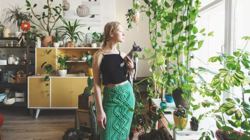 Kedili Evlerde Dikkat: Bu 8 Çiçek Minik Dostlarınız İçin Zehirli Olabilir