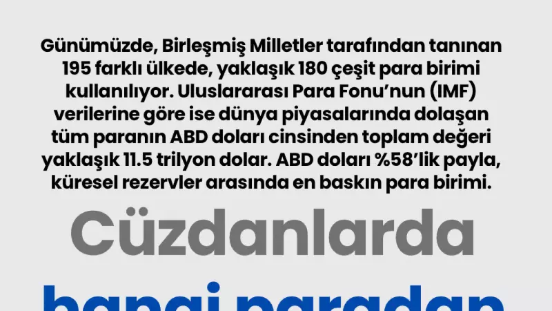 Küresel Cüzdan: Dünyada Kaç Para Birimi Var ve Toplam Değer Ne Kadar?