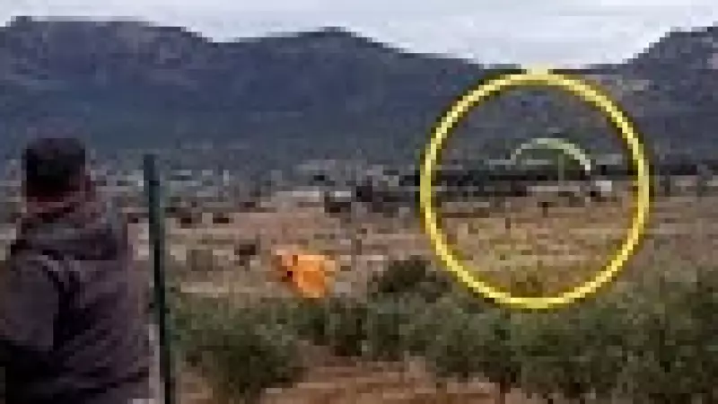 Mersin'de Orman İşçileri Paraşütle Uçan Adamı Çaya Davet Etti