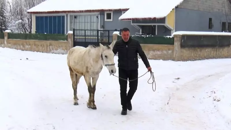 Muşlu Sanatçı Önder Elaraslan, Kışın Terk Edilen At ve Eşekleri Kurtarıyor