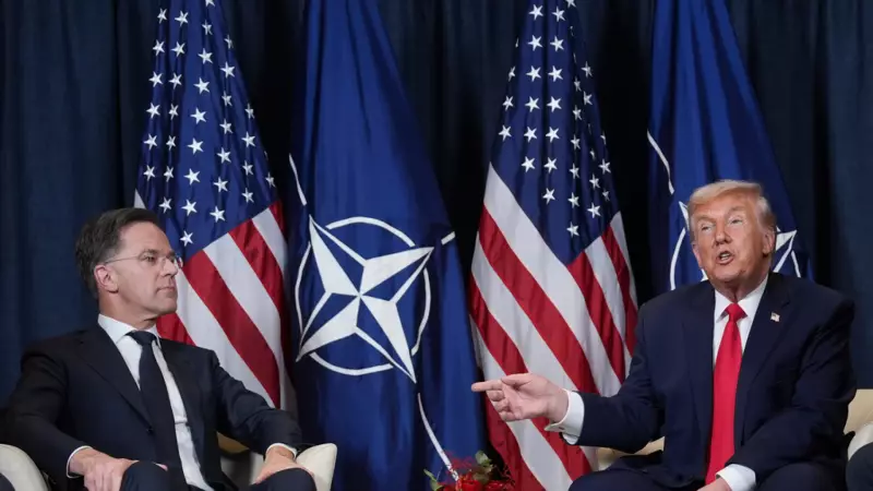 NATO Genel Sekreteri Rutte'den Trump'a Güvence: Saldırı Halinde Müttefikler ABD'nin Yanında