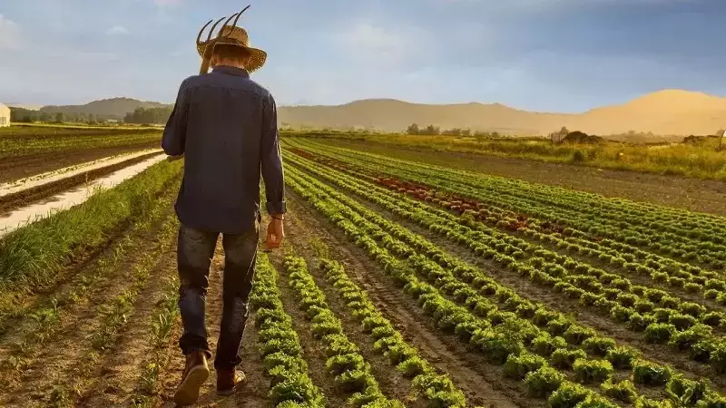 Orman Köylüsüne 2,55 Milyar Lira Destek: 81 İlde 1,5 Milyon Kişi Faydalandı