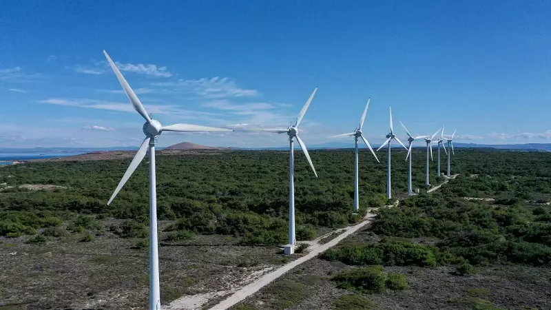 Rüzgar Enerjisinde Tarihi Rekor: 3 Ocak'ta 259 Bin 76 MWh Üretim