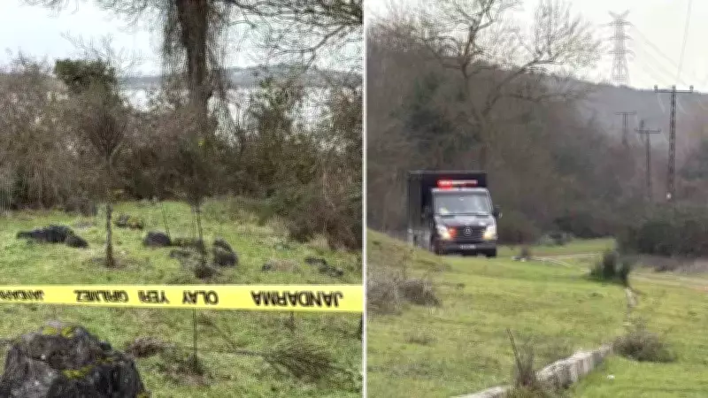 Sakarya'da Ormanlık Alanda Bulunan Cesetle İlgili Siyanür Şüphesi