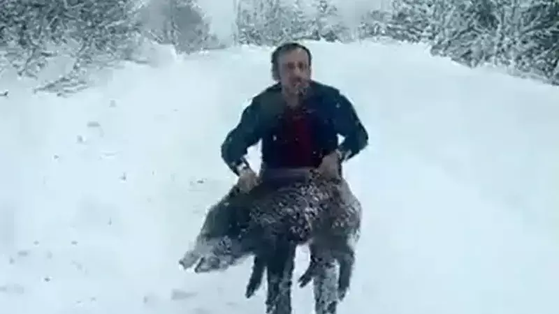 Sinop'ta Yavru Domuz Yakalayan Yılmaz'a 14.911 TL Ceza