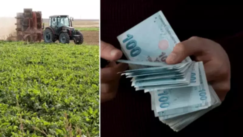 Tarım Bakanı Yumaklı, 255 Milyon Liralık Destek Ödemelerini Duyurdu