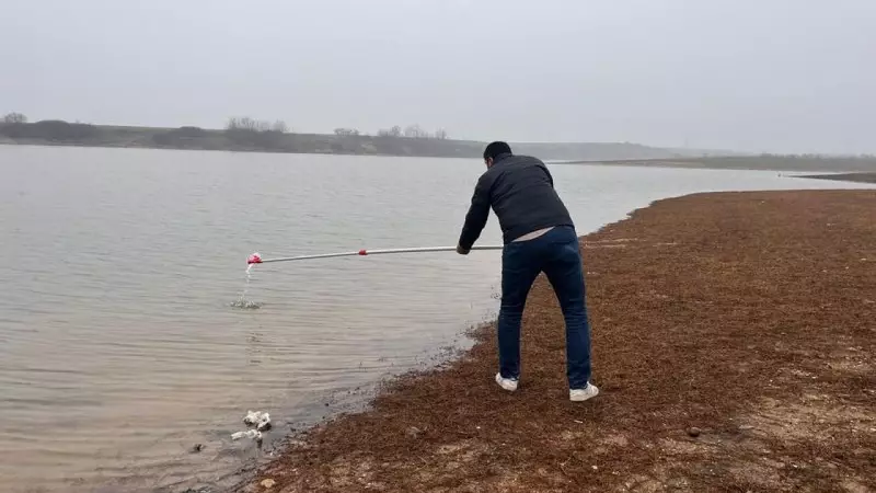 Tekirdağ Hayrabolu'da Gölette Yaşanan Toplu Balık Ölümleri İncelemeye Alındı