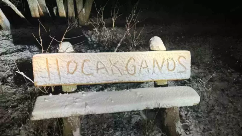 Tekirdağ'da Kar Yağışı Etkili Oldu: Yüksek Kesimler Beyaza Büründü