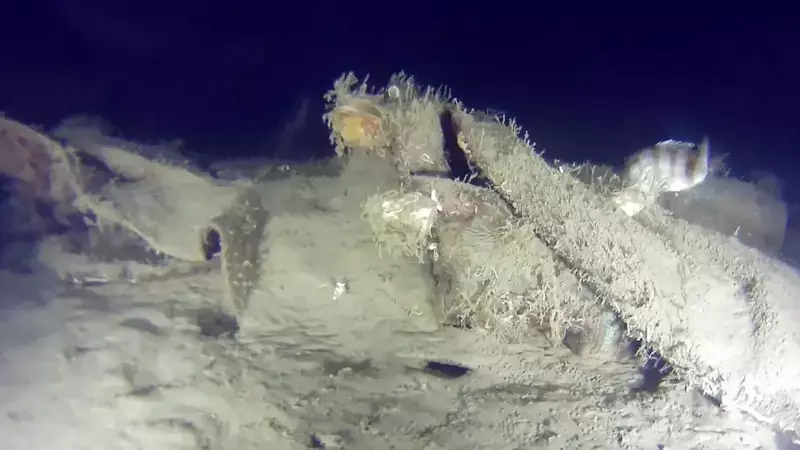 THY'nin 1975'te Düşen 'Bursa' Uçağının Enkazında Yeni Gelişme: Youtuber Parçaları Görüntüledi