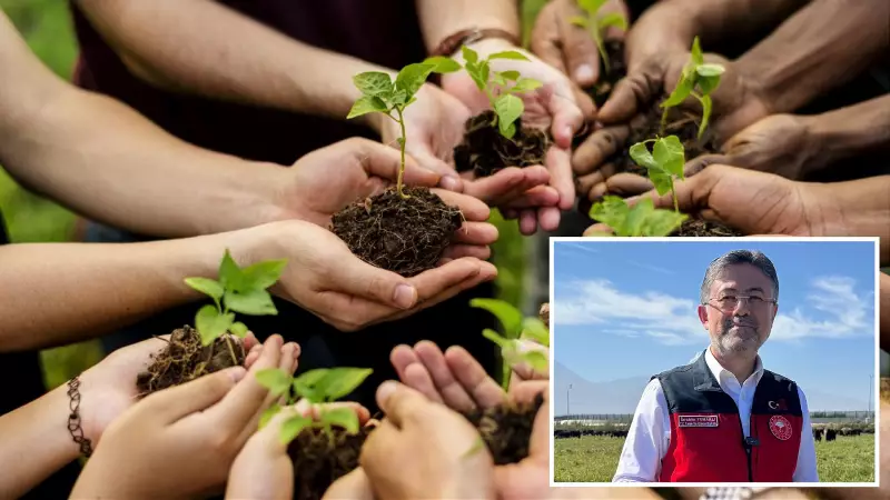 Türkiye 2025'te 517 Milyon Fidan Dikerek Dünya Üçüncüsü Oldu