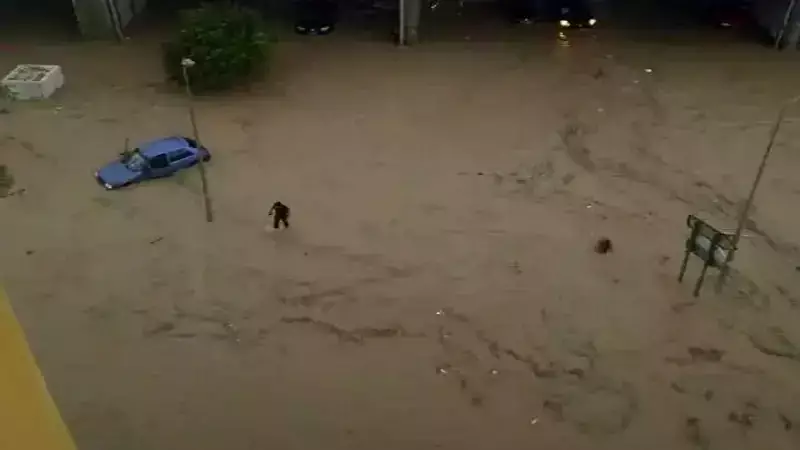 Tunus'ta Şiddetli Yağışlar: Can Kaybı, Ulaşım ve Eğitim Durdu