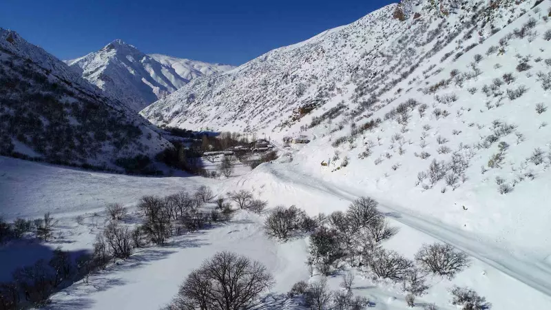 Van-Çatak Karayolu 4 Gündür Kapalı: Çığ ve Kar Yağışı Hayatı Felç Etti