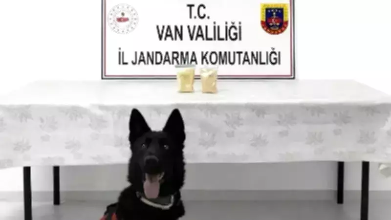 Van'da Yol Kontrolünde İran Uyruklu Şahıs Üzerinde 510 Gram Eroin Yakalandı