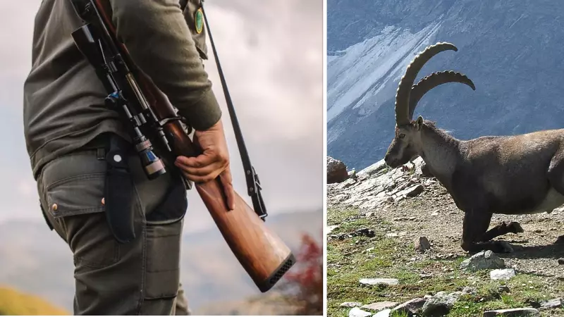 Yaban Keçisi Avcılarına Büyük Ceza: 3 İlde Toplam 2.9 Milyon TL