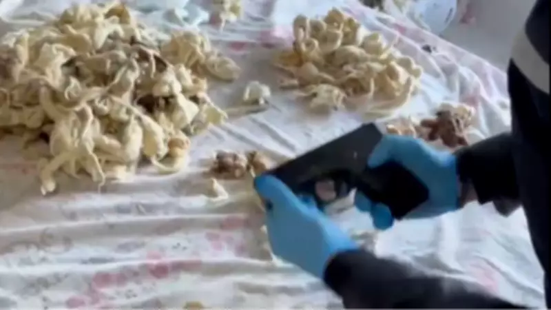 Yastıklardan Çıkan Silahlar: Takside Market Poşetiyle Kaçakçılık Operasyonu