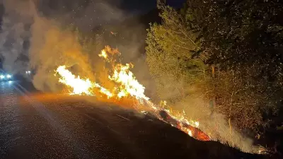 Adana Kozan'da Orman Yangını: Hızlı Müdahaleyle Felaket Önlendi
