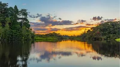 Amazon Ormanları: Dünyanın Akciğerlerinin Nefes Alışı ve İçindeki Yaşam