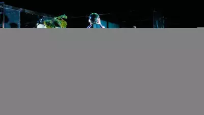 Bakırköy Belediye Tiyatroları Ocak 2026'da 7 Farklı Oyunla Sahne Alacak